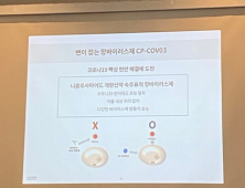 현대바이오 개발 '코로나19 치료제'…중증·오미크론 치료 효능 확인