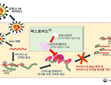 먹는 코로나치료제 '팍스로비드' 긴급사용승인