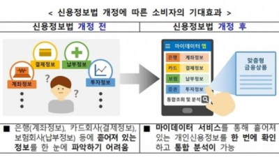 개인신용정보 서비스 확대…소비자 보호 강화