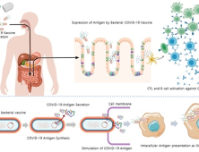장내미생물 이용한 '코로나19 경구형 백신기술' 개발