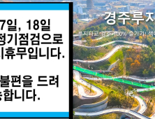 경주서 루지 타던 7살 여아, 가드레일 충돌 후 숨져