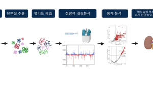 소변검사로 '루푸스 신염 ' 조기 진단한다