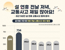 설 연휴 전날에만 차량 37만대 쏟아진다…교통사고 최다 발생 '주의'