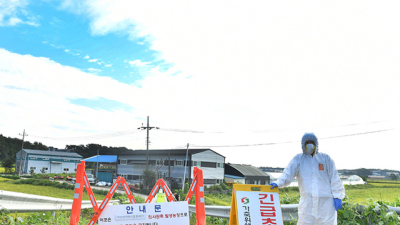 겨울철 고병원성 AI 연이어 발생, 일시이동중지 명령