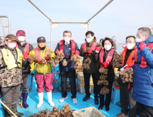 충남 보령 대표 수산물 명품 천북굴 양식 현대화 ‘착착’