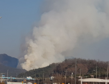 대구 동구 경주이씨 문중 야산서 불…60대 주민 부상