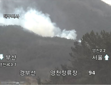 건조한 날씨에 경북 곳곳서 산불 잇따라…영천 산림 660㎡ 소실(종합)