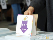 사전투표 둘째 날 투표율, 오전 9시 기준 20.17%