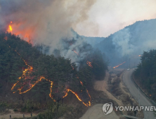 대구시, 울진 산불피해 적극 지원…소방인력 급파