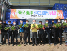 의령 토요애유통(주), SPC그룹에 양상추 첫 출하 [의령소식]