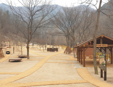 수성구, ‘대흥동 유아숲체험원’ 운영 외 [수성소식]