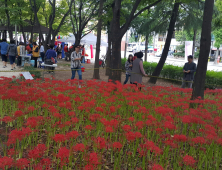 25년간 이름 없이 지낸 김해시 어방동 완충녹지, '활천 꽃무릇 숲길' 이름으로 재탄생