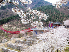 지리산 산청의 '봄' 동의보감촌