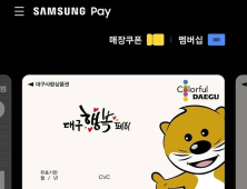 ‘대구행복페이’ 1인 충전한도 월 50만원→30만원 조정