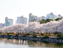 [포토] “영천 망정 우로지생태공원, 벚꽃 구경 오세요”