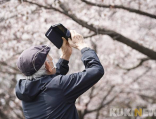 낮 최고 24도 따뜻한 봄날…강원·동해안 강풍 계속