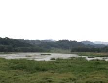 함안군, 대평-질날늪 자연생태축 복원사업 추진 [함안소식]