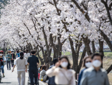 [포토] 벚꽃길 추억 만들기