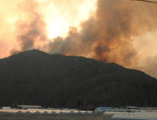 봄철 산불로 강원 산림 축구장 1만배 이상 잿더미… 전년比 86배↑