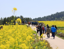 3년 만에 찾아온 ‘청산도의 봄’