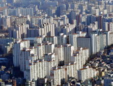 강남은 오르고 외곽은 ‘뚝뚝’… 아파트 양극화 심화