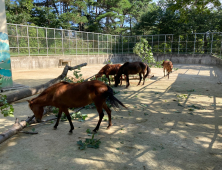 진주시 진양호동물원, 5월16일부터 매주 월요일 휴원