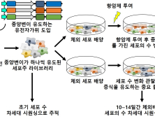 항암제 내성 보이는 종양변이 ‘대량 발굴법’ 개발