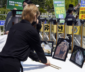 '동물에게는 고통' 체험동물원 금지해야...