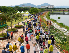 장성 황룡강 (洪)길동무 꽃길축제 20일 개막