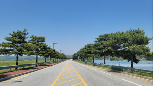 충남도, ‘더 행복한 삶의 숲’ 조성사업에 1142억 투입