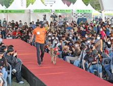 임실군, ‘제37회 의견문화제’ 반려동물 축제로 전국적 인기 