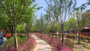 천안시, 13개 구간 ‘도시 바람길 숲’ 조성 10월 완료