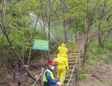 북부산림청, 지역 산림병해충 예찰대책본부 운영