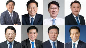 [6·1지방선거]민주당 전북도지사, 11곳 기초단체장 승리  