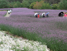 인제군, '1000만 관광시대' 관광마케팅 본격화