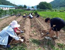 군위군청소년상담복지센터, 멘토링프로그램 운영 외 [군위소식]