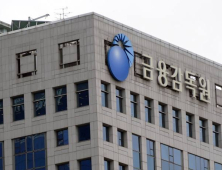 금융권 횡령사고에 금감원 ‘명령휴가제’ 도입 검토