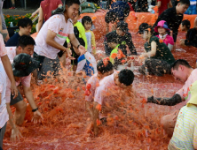 3년 만에 다시 돌아온 화천토마토축제 5일 개막