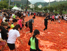 [포토]토마토축제 황금반지 찾기