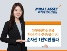 미래에셋 TIGER 미국다우존스30 ETF, 순자산 1000억원 돌파