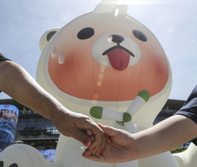 북극곰이 너무 더워서 '열받곰' 