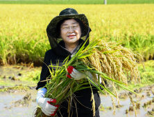 이천시, 이른 추석 대비 이천햅쌀 추수