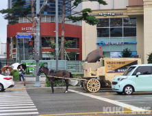 조계현 대표 “우마무스메, 미흡 운영 사죄”…총대진 “간담회 연락 기다릴 것”