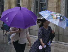 태풍 뚫고 출근합니다…‘휴사령’은 없나요 