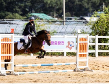 경기도지사배 '유소년 승마한마당' 양주 등서 개최