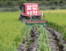 쌀값 폭락, 피눈물 나는 농민들…정부 “尹 대통령 요청했다”