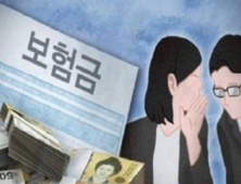 “생·손보협회, 보험사기 설계사 검증 절차 부재”