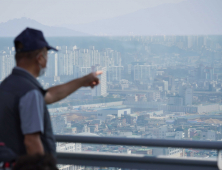 초미세먼지로 뿌연 서울 하늘