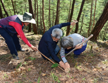 봉화송이축제, 지역 경제 파급 효과 65억..성황리 '폐막'