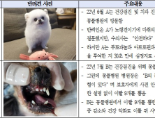 “수의사 처벌도, 동물의료사고 정의도 無”